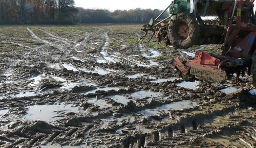 Zu viel stehendes Wasser auf der Oberfläche