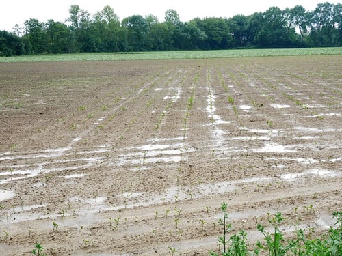 Auf der Oberfläche stehendes Wasser