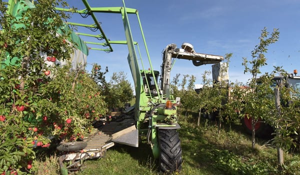 Goldene Regeln für die Auswahl der richtigen Agrarreifen und ihre Auswirkungen auf Baumkulturen