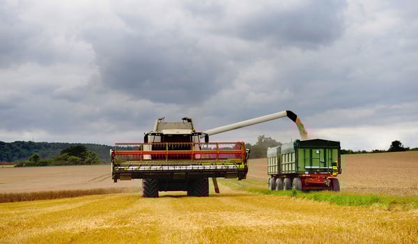 Agrarreifen: wie man die Böden während der Ernte schützen kann