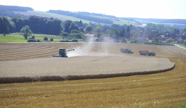 Alles über Bodensanierung nach der Ernte erfahren