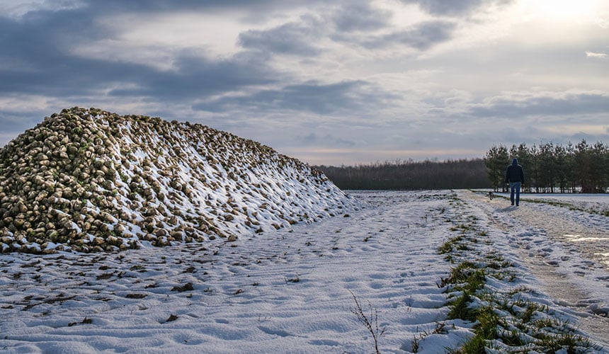 Frost und Tauwetter im Wechseln verbessern den Boden nach dem Pflügen