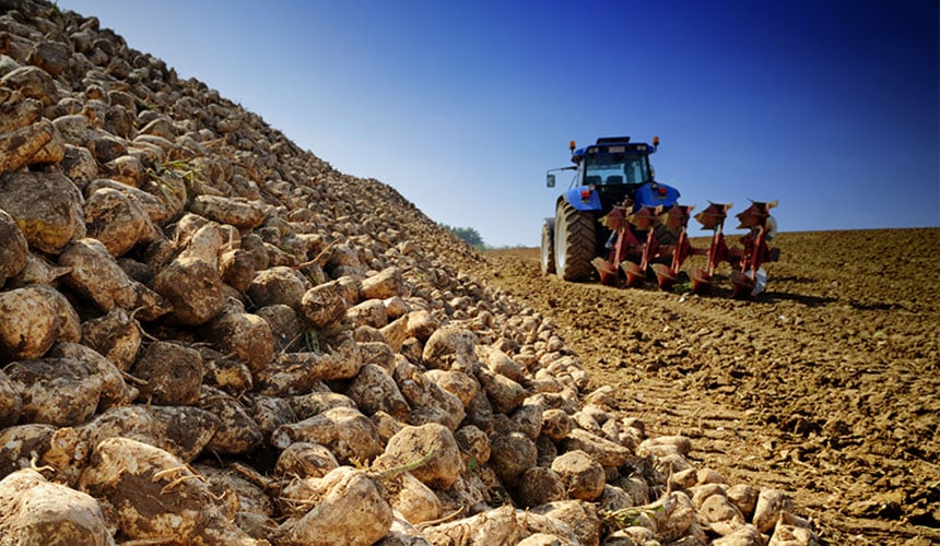 Bei Trockenheit kann einfaches Pflügen zur Bodenauflockerung genügen