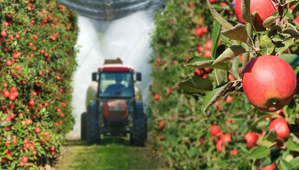 Bewässerung von Obstplantagen
