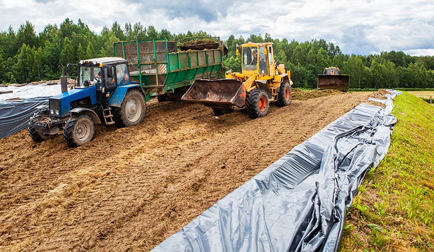 Verdichtung der Silage in einem Silo eines Milchbetriebs