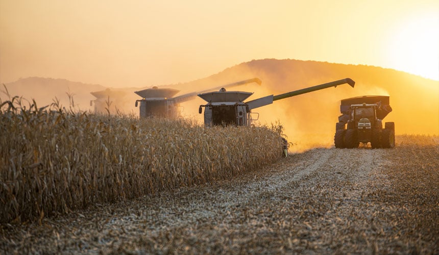 Reifen Maxi Traction Harvest für die Maisernte