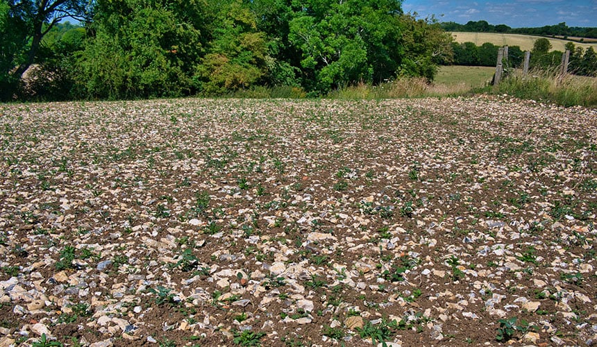 Böden mit scharfkantigen Steinen sind für Agrarreifen sehr aggressiv