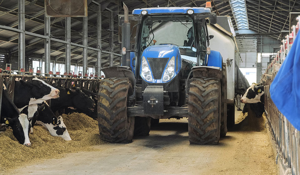 Extra Load-Reifen in einer Stallung