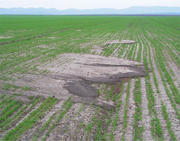 Wasser auf verdichteten Böden sickert schlecht ein und verstärkt die Erosion