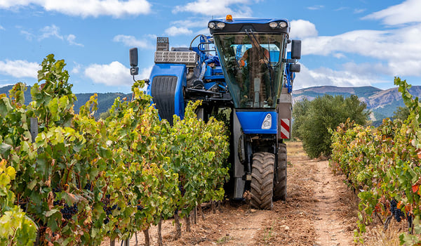 Winzerreifen: warum Sie spezielle Winzerreifen verwenden sollten