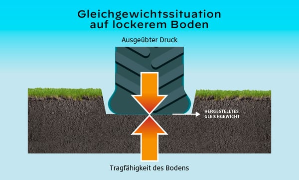 Einsinken des Bodens unter der Wirkung des ausgeübten Drucks