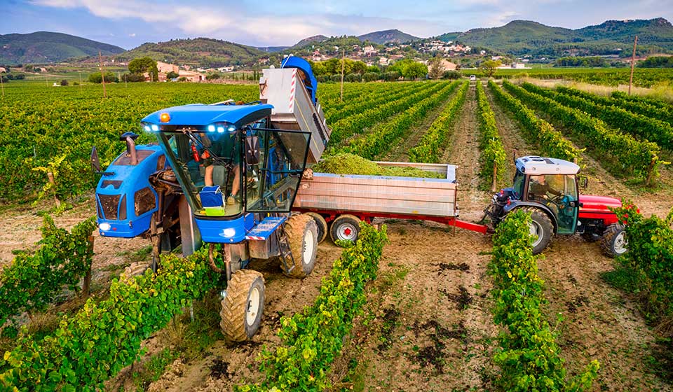 Winzerreifen zur Vermeidung von Bodenverdichtung