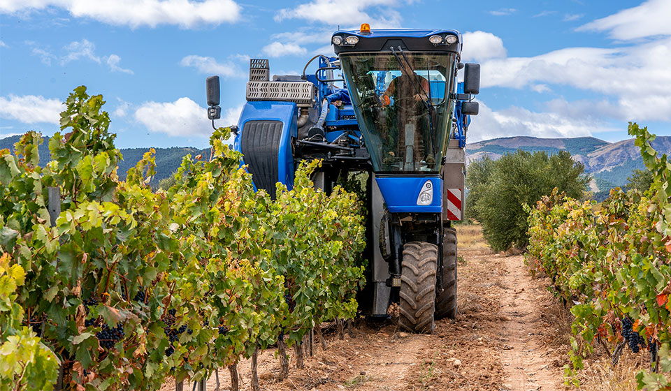 Winzerreifen zur Vermeidung von Bodenverdichtung